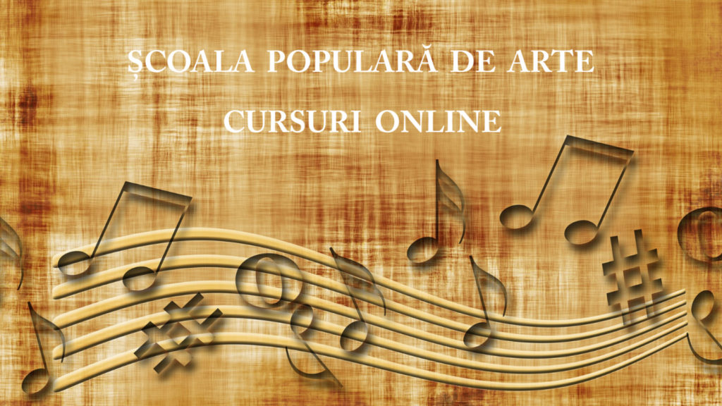 CARTON - CURSURI ONLINE